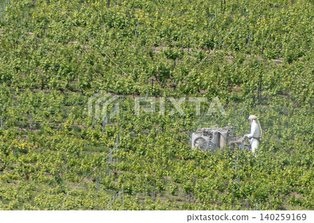 Vineyard spraying with tractor in Champagne region, France Vineyard spraying with tractor in Champagne region, France 140259169