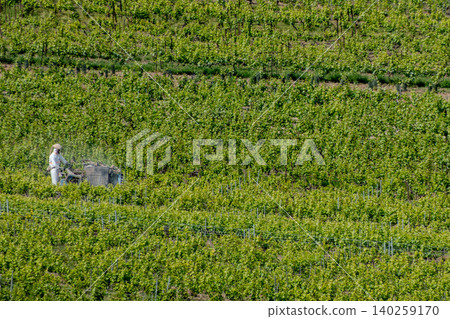 Vineyard spraying with tractor in Champagne region, France Vineyard spraying with tractor in Champagne region, France 140259170