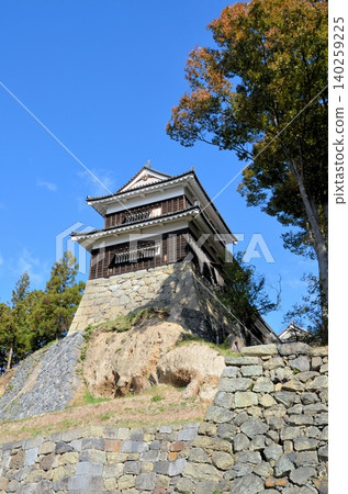 Ueda Castle Nanjo 140259225