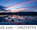 Rice fields and sunrise 140259754