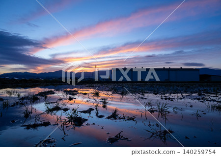 Rice fields and sunrise Rice fields and sunrise 140259754