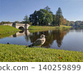 Seagull standing on green grass at White Lake in Palace Park of Gatchina. Stone bridge over water on sunny autumn day. Nature landscape of historical garden and public recreation area. 140259899
