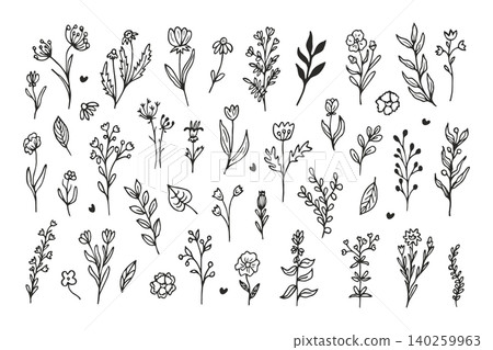 Set of hand drawn flower doodles. Collection of simple botanical sketches for design. Floral icons and plant elements different field herbs for decoration, wedding invitation, greeting card, packaging Set of hand drawn flower doodles. Collection of simple botanical sketches for design. Floral icons and plant elements different field herbs for decoration, wedding invitation, greeting card, packaging 140259963