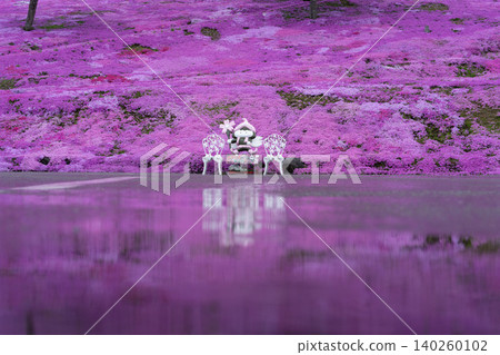 Hokkaido, Takinoue, moss phlox, pink, spring, scenery, flowers, nature, plants, in full bloom, moss phlox, flower field Hokkaido, Takinoue, moss phlox, pink, spring, scenery, flowers, nature, plants, in full bloom, moss phlox, flower field 140260102