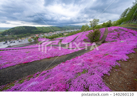 Hokkaido, Takinoue, moss phlox, pink, spring, scenery, flowers, nature, plants, in full bloom, moss phlox, flower field Hokkaido, Takinoue, moss phlox, pink, spring, scenery, flowers, nature, plants, in full bloom, moss phlox, flower field 140260110