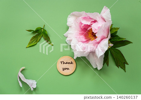 Romantic pink peony flower composition with pastel green background Romantic pink peony flower composition with pastel green background 140260137