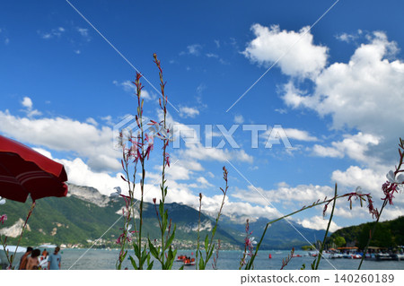 法國安納西湖畔鮮花盛開,美麗的夏日景色(2021年7月28日) 法國安納西湖畔鮮花盛開,美麗的夏日景色(2021年7月28日) 140260189