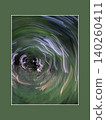 Abstract Forest Vortex with Intentional Camera Movement 140260411