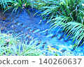 Color River Water Stone Rock (Registered June 2026) 140260637