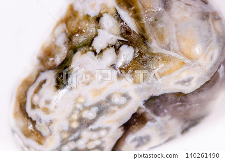 Macro mineral stone Jasper oceanic on a white background Macro mineral stone Jasper oceanic on a white background 140261490
