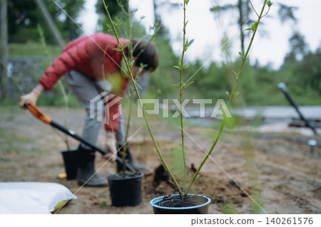 A teenage boy plants a dogwood shrub on their countryside property A teenage boy plants a dogwood shrub on their countryside property 140261576