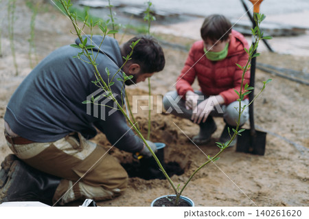 A man and his son plant a dogwood shrub on their countryside property A man and his son plant a dogwood shrub on their countryside property 140261620