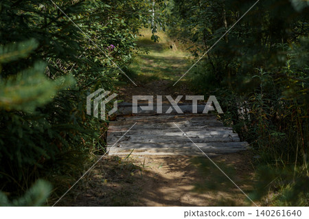 A small log bridge crosses a stream in a forest park surrounded by lush greenery and natural woodland scenery A small log bridge crosses a stream in a forest park surrounded by lush greenery and natural woodland scenery 140261640