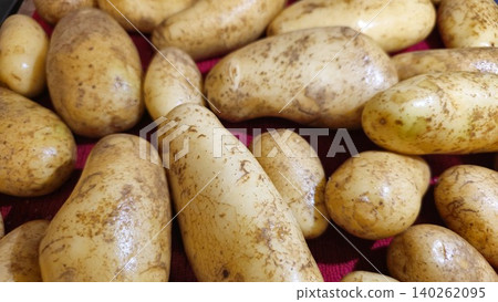 set of potatoes in a close up view set of potatoes in a close up view 140262095