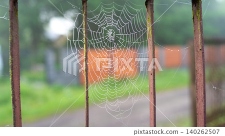 Spider web on rusty metal fence with blurred garden background Spider web on rusty metal fence with blurred garden background 140262507