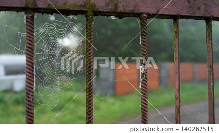 Rusty metal fence with spider webs outdoors Rusty metal fence with spider webs outdoors 140262515