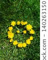 Yellow dandelion flowers arranged in a circle on lush green grass in a sunny natural garden scene 140263150