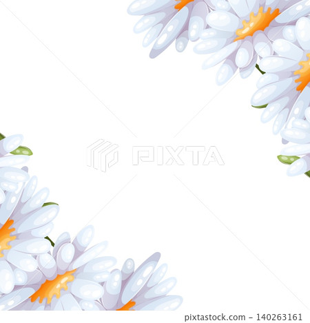 Vector diagonal frame with daisies Vector diagonal frame with daisies 140263161