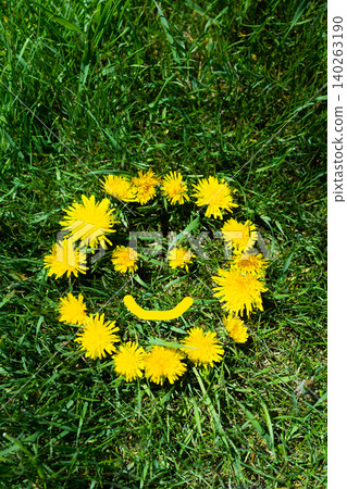 Yellow dandelion flower wreath arranged as a smiling face on green lawn Yellow dandelion flower wreath arranged as a smiling face on green lawn 140263190