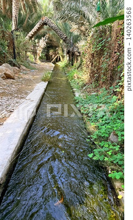 Stream Reflects Life. Clear Water Flows Past Greenery. Sunlit River With Peaceful Flowing Current. Tranquil Waterway Bordered By Lush Mosscovered Banks And Stones 140263568