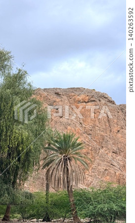 Silent Tree Serenity. Lone Palm Amidst Rugged Cliffs. Calm Scene Featuring Solitary Palm And Vibrant Rocks. Peaceful Shoreline With Resilient Tree And Striking Orange Cliffs Silent Tree Serenity. Lone Palm Amidst Rugged Cliffs. Calm Scene Featuring Solitary Palm And Vibrant Rocks. Peaceful Shoreline With Resilient Tree And Striking Orange Cliffs 140263592