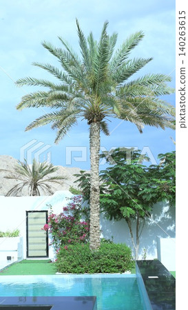 Tourist destination Tropical Scene. Serene Poolside Tropical Landscape. Peaceful Resort Setting With Lush Greenery And Water. Picturesque Palm Beside Pool With Vibrant Blue Water And Hedges Tourist destination Tropical Scene. Serene Poolside Tropical Landscape. Peaceful Resort Setting With Lush Greenery And Water. Picturesque Palm Beside Pool With Vibrant Blue Water And Hedges 140263615