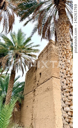 Pix Shows Palm Resting Against Weathered Adobe Wall With Orchard Beyond. Sunshine Illuminates Palm Leaning On Textured Adobe Wall Overlooking Lush Date Grove And Clear Blue Sky Pix Shows Palm Resting Against Weathered Adobe Wall With Orchard Beyond. Sunshine Illuminates Palm Leaning On Textured Adobe Wall Overlooking Lush Date Grove And Clear Blue Sky 140263769