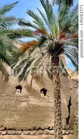 Date Palm Casting Shadow On Adobe Wall, Small Rectangular Openings And Sunbaked Texture, Rustic Facade Framed By Fronds, Warm Tones And Quiet Village Atmosphere Evoking Heritage Date Palm Casting Shadow On Adobe Wall, Small Rectangular Openings And Sunbaked Texture, Rustic Facade Framed By Fronds, Warm Tones And Quiet Village Atmosphere Evoking Heritage 140263771