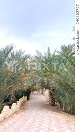 Pathway Lined With Palms Leading Inward. Alley With Tall Palms Inviting Tranquil Walks. Stone Tiled Pathway Surrounded By Majestic Palms Offering Peaceful Leisure Strolls Pathway Lined With Palms Leading Inward. Alley With Tall Palms Inviting Tranquil Walks. Stone Tiled Pathway Surrounded By Majestic Palms Offering Peaceful Leisure Strolls 140263797