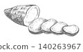 Sweet potato sketch. Vector composition of a half of sweet potato and slices lying on a table. Hand drawn, imitating an engraving. Yam outline drawing done in ink. Ipomoea batatas linear art 140263967