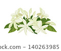 Vector image of jasmine flowers. Composition is perfect for tea, natural cosmetics store, organic health product, perfume, essential oil, and aromatherapy. For greeting card or wedding invitation. 140263985
