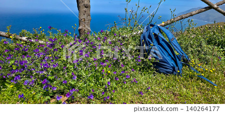 Blue backpack resting on vibrant purple flowers near a wooden fence overlooking a scenic coastal view under a clear blue sky. Northern viewpoint of La Palma Island Cruz de La Centinela. High quality Blue backpack resting on vibrant purple flowers near a wooden fence overlooking a scenic coastal view under a clear blue sky. Northern viewpoint of La Palma Island Cruz de La Centinela. High quality 140264177
