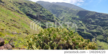 Lush green hillside with a prominent cactus plant in the foreground, showcasing rocky terrain and steep mountain slopes under a clear blue sky. High quality photo Lush green hillside with a prominent cactus plant in the foreground, showcasing rocky terrain and steep mountain slopes under a clear blue sky. High quality photo 140264220