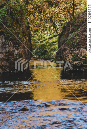 Forest River Between Mossy Rocks Forest River Between Mossy Rocks 140264225