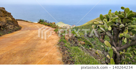 Scenic coastal sandy road winding through rocky terrain with vibrant green vegetation and a cactus plant overlooking the ocean in a serene natural landscape. High quality photo Scenic coastal sandy road winding through rocky terrain with vibrant green vegetation and a cactus plant overlooking the ocean in a serene natural landscape. High quality photo 140264234