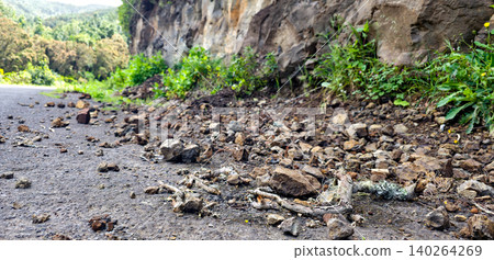 Rock and branch falls onto the roadway in mountainous areas. Danger of landslides on the roads. High quality photo 140264269
