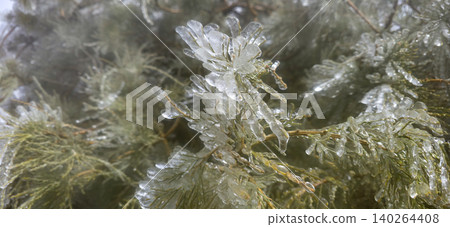 Ice-covered evergreen branches with a thick layer of frost, showcasing intricate ice formations and green needles after the rain in the frost and wind. High quality photo Ice-covered evergreen branches with a thick layer of frost, showcasing intricate ice formations and green needles after the rain in the frost and wind. High quality photo 140264408