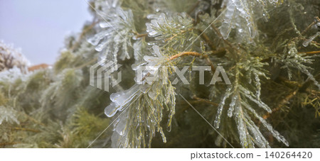Ice-covered evergreen branches with a thick layer of frost, showcasing intricate ice formations and green needles after the rain in the frost and wind. High quality photo Ice-covered evergreen branches with a thick layer of frost, showcasing intricate ice formations and green needles after the rain in the frost and wind. High quality photo 140264420