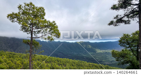 Lush green landscape featuring tall pine trees overlooking a valley with rolling hills and a cloudy sky in the background, captured in a mountainous region. High quality photo Lush green landscape featuring tall pine trees overlooking a valley with rolling hills and a cloudy sky in the background, captured in a mountainous region. High quality photo 140264661