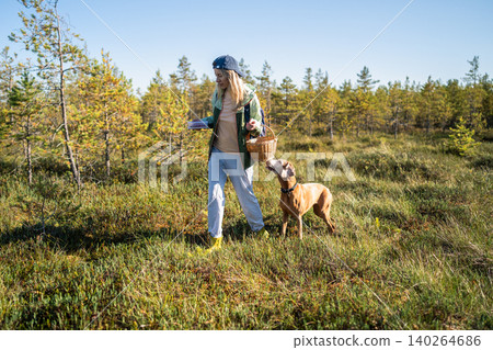 Positive woman at forest bog together with Vizsla dog collecting fresh cranberries and mushrooms Positive woman at forest bog together with Vizsla dog collecting fresh cranberries and mushrooms 140264686