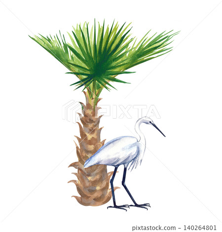 Hand-drawn watercolor illustration with a small fan palm tree and a white heron (egret) standing beside it. Isolated on a white background, this tropical composition is perfect for summer designs 140264801