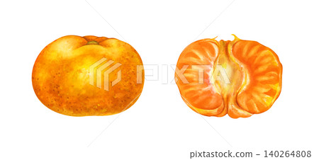 Watercolor tangerine set with whole mandarin fruit and peeled half isolated on white background. For food packaging design, juice labels, recipe books, kitchen decor, and summer textile prints Watercolor tangerine set with whole mandarin fruit and peeled half isolated on white background. For food packaging design, juice labels, recipe books, kitchen decor, and summer textile prints 140264808