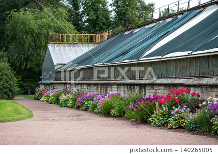Colorful phlox bushes growing in garden near greenhouse under open sky during growing season Colorful phlox bushes growing in garden near greenhouse under open sky during growing season 140265005