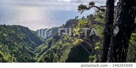 Lush green valley with steep cliffs leading to the ocean, framed by tall pine trees under a clear blue sky in a scenic coastal landscape. High quality photo Lush green valley with steep cliffs leading to the ocean, framed by tall pine trees under a clear blue sky in a scenic coastal landscape. High quality photo 140265090