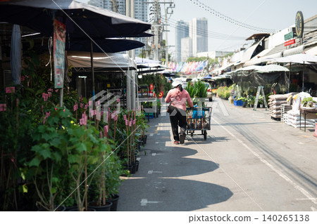 Woman vendor walking through Chatuchak plant market in Bangkok pushing cart with green plants. Woman vendor walking through Chatuchak plant market in Bangkok pushing cart with green plants. 140265138