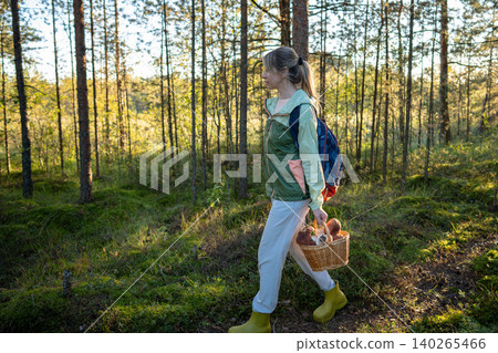 Woman nature lover exploring pine forest on autumn day hunting for fresh edible porcini mushrooms. Woman nature lover exploring pine forest on autumn day hunting for fresh edible porcini mushrooms. 140265466