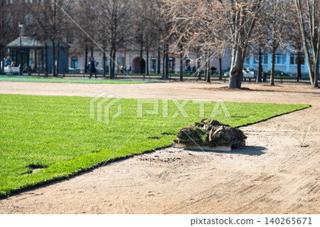 Rolled grass mats prepared for seasonal lawn renovation and establishment in public city park. Rolled grass mats prepared for seasonal lawn renovation and establishment in public city park. 140265671