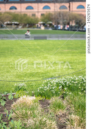 Green lawn with blossoming spring flowers arranged in park, people decorate and take care of nature. 140265674
