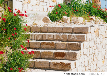 Ancient stone steps ascending to a traditional greek cretan house, framed by vibrant wild red poppies and green foliage under bright sunlight in the mediterranean countryside Ancient stone steps ascending to a traditional greek cretan house, framed by vibrant wild red poppies and green foliage under bright sunlight in the mediterranean countryside 140266140