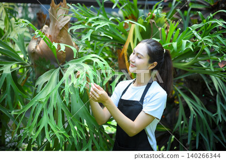Female gardener checking staghorn fern, showing care, attention, and plant maintenance Female gardener checking staghorn fern, showing care, attention, and plant maintenance 140266344